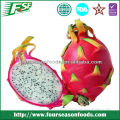 2014 Best prices newest red dragon fruit iqf
